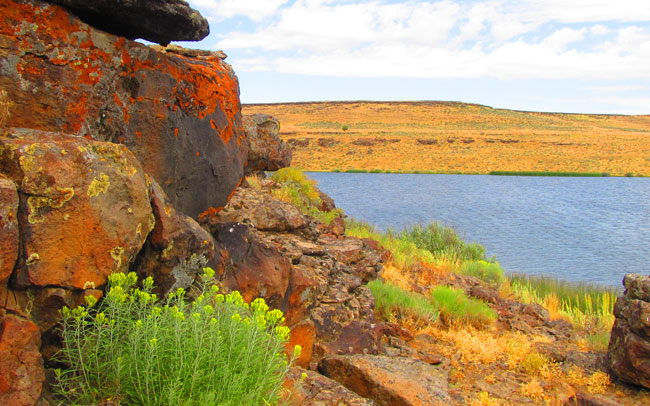 Winnemucca Convention & Visitors Authority - by Sacramento Web Design - NetPilot